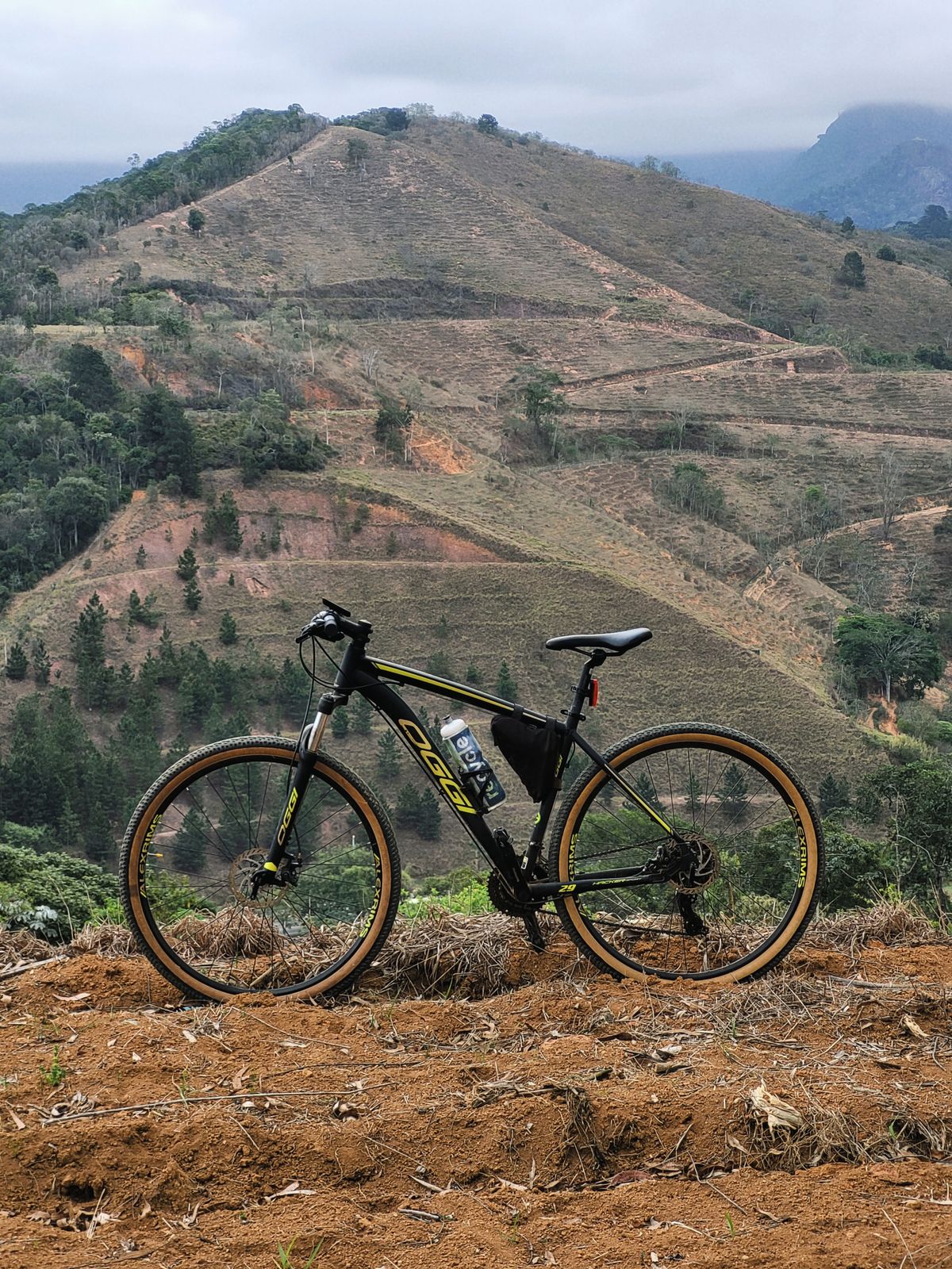 Trail landscape