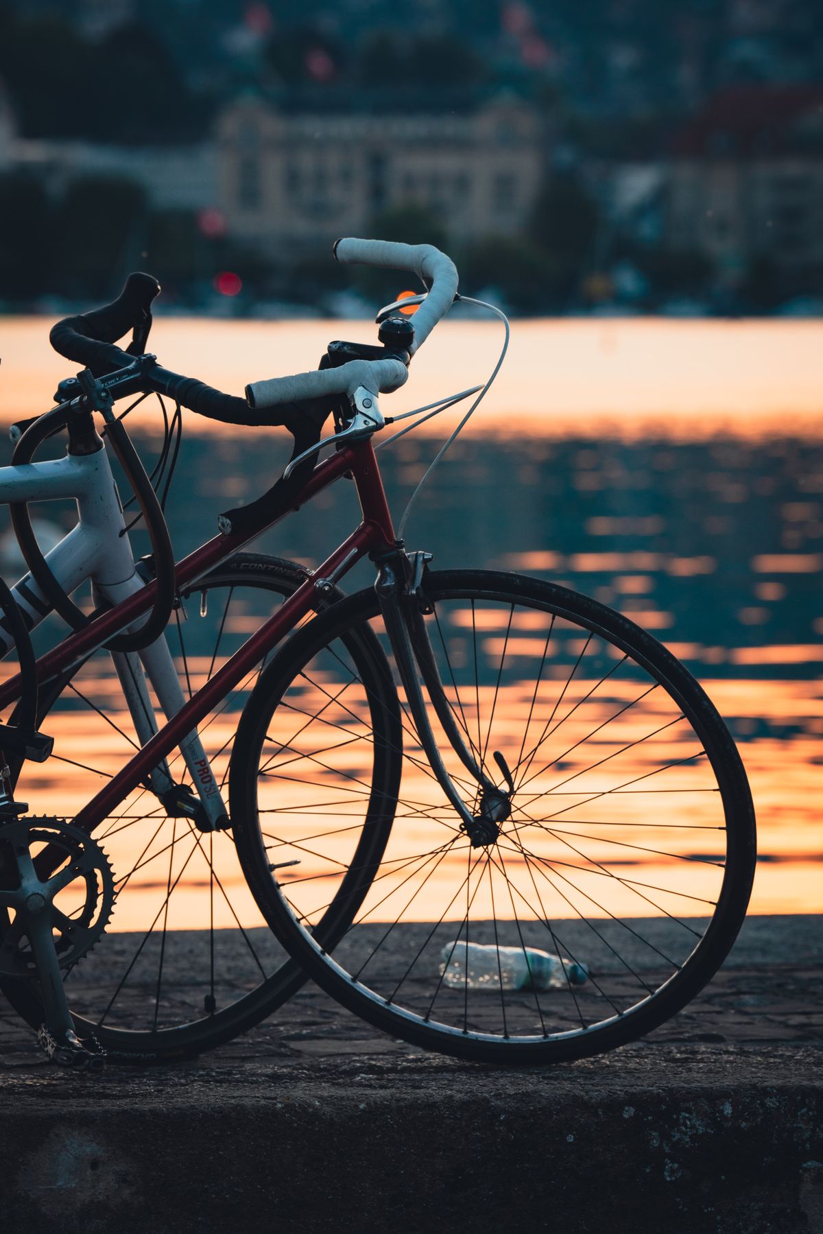 Bicycles by a lakeside route