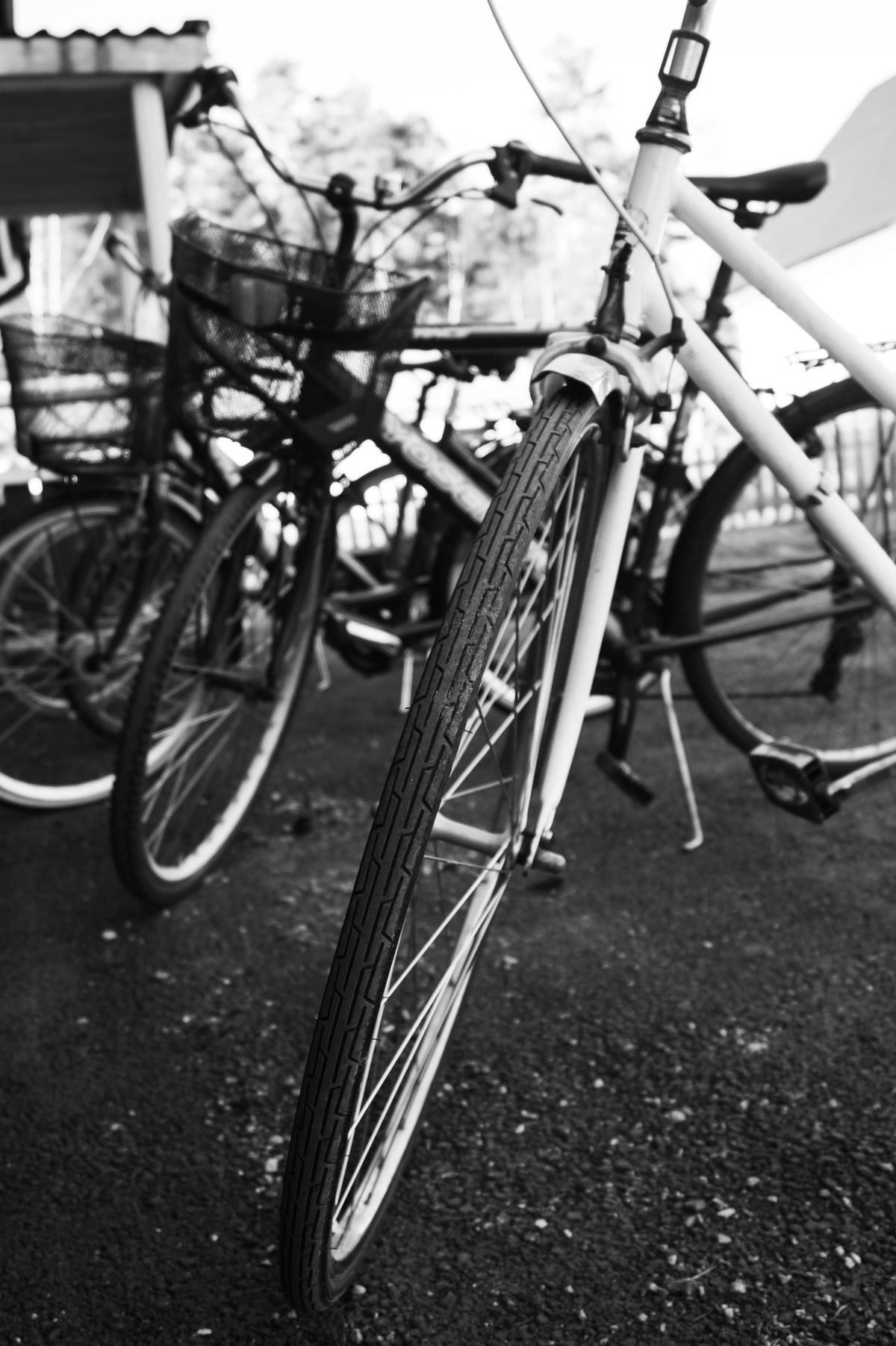 Touring bicycle